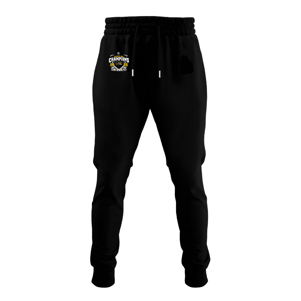 Iowa Football ReliaQuest Bowl CHAMPIONS 2025 Hoodie V2