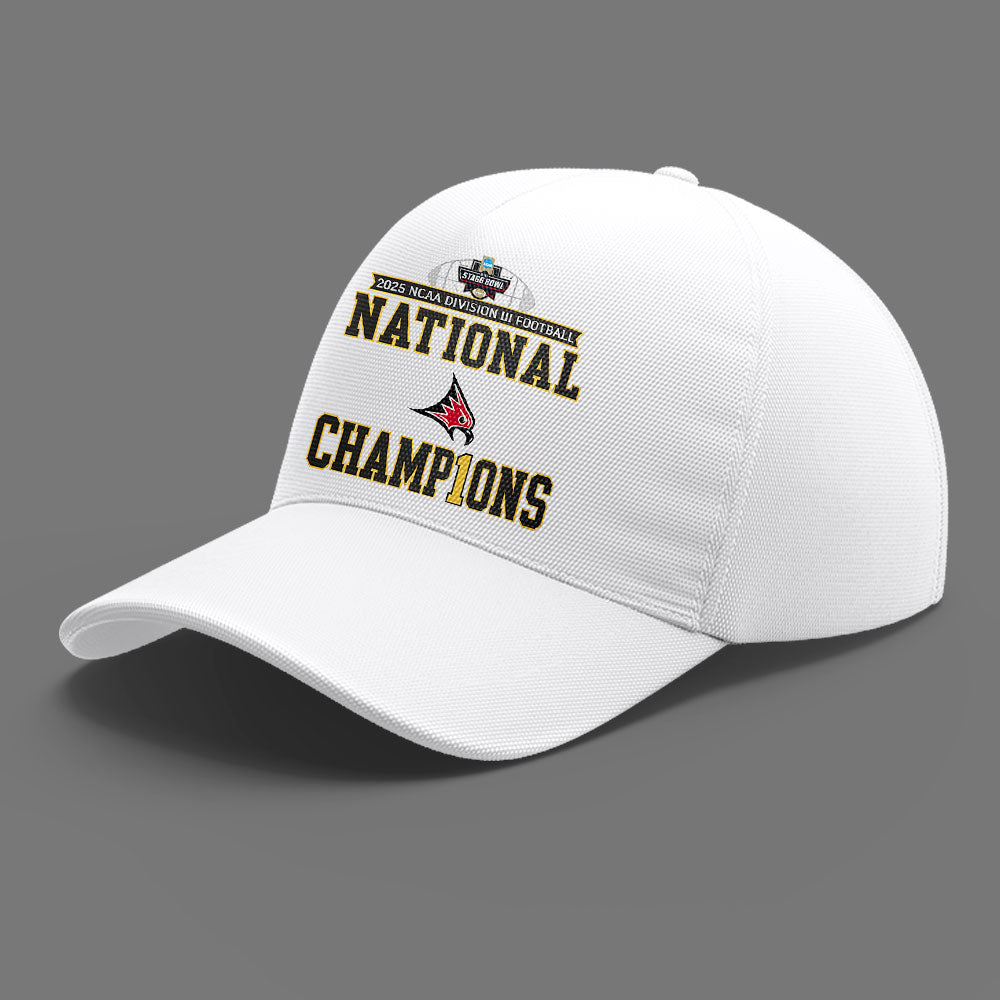 Limited Edition Falcon Football 2025 NCAA Division III National Champions Hoodie
