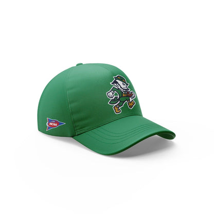 Limited Edition Irish Football Leprechaun Collection 2025 Hoodie